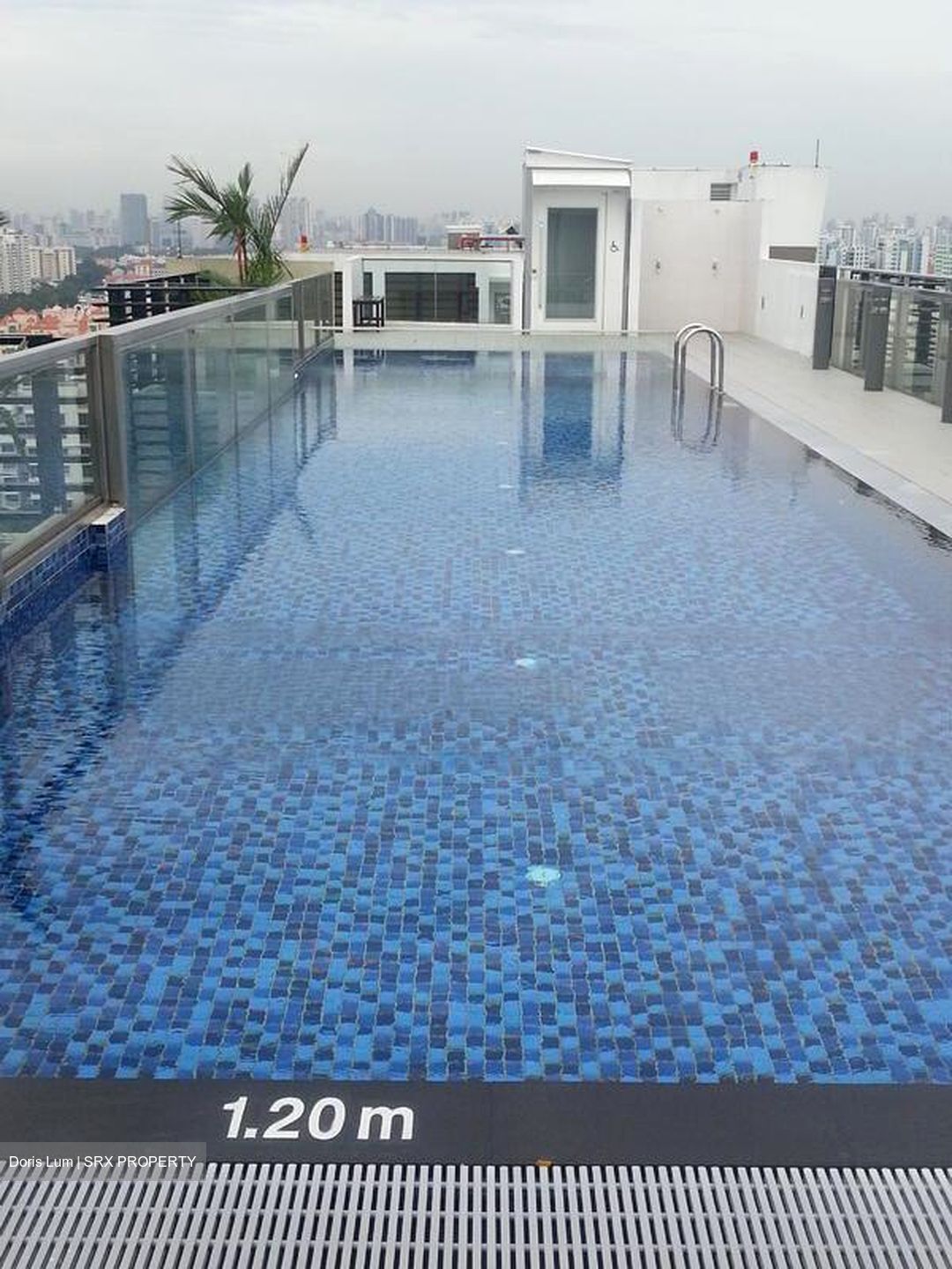 Esta Ruby (D14), Apartment #460830251